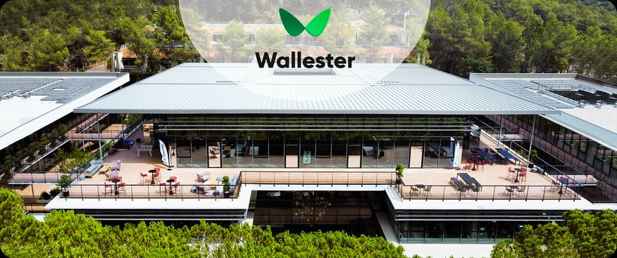 Global Growth: Wallester Ventures into France with New Office Expansion 🚀