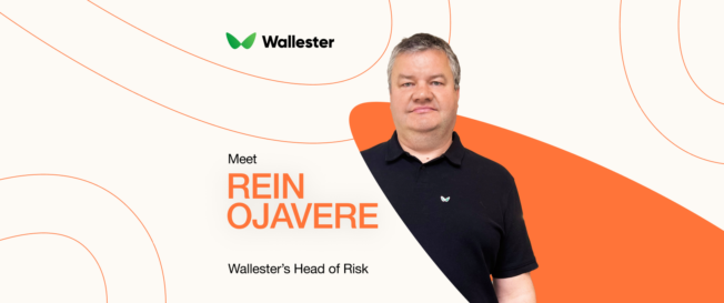 Interview with Rein Ojavere
