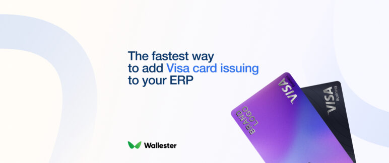 Go Live in Weeks: Embedded Payments for ERPs Made Simple