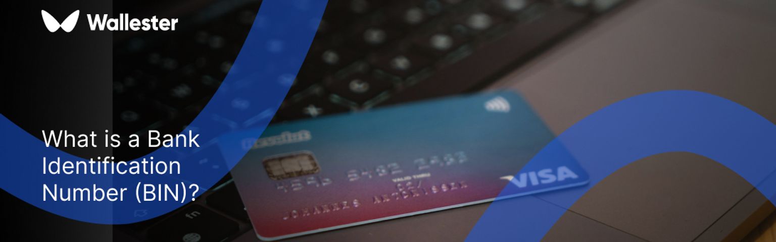 What is a Bank Identification Number (BIN)?