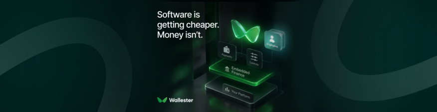 If Everyone Can Build Software, What Makes Your Platform Different? Embedded Finance Might Be the Answer