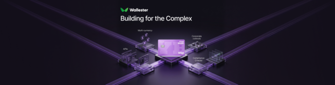 How EMIs Build for Complex Corporate Clients