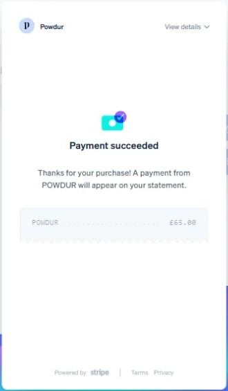Stripe Payment Links example showing a successful customer payment.