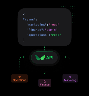 API permission diagram showing JSON access levels for Operations, Finance, and Marketing teams