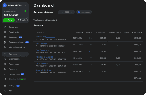 Wallester Business desktop UI with dashboard of summary statement