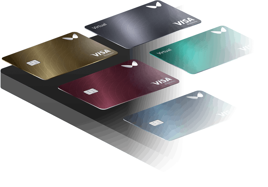 Wallester Visa cards of various types and colors