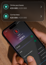 List of transactions: Online purchases - 25 Euro, Contactless - 25 Euro, Netflix - 16,99 Euro