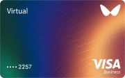 Multicolored virtual Visa card