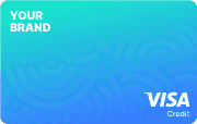 Light blue Visa card