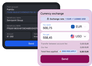 Payment and currency exchange application form